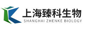 上海永乐高,永乐高官方网站科技有限公司